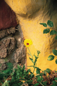 Simply Lush: A Guide to Permaculture Image